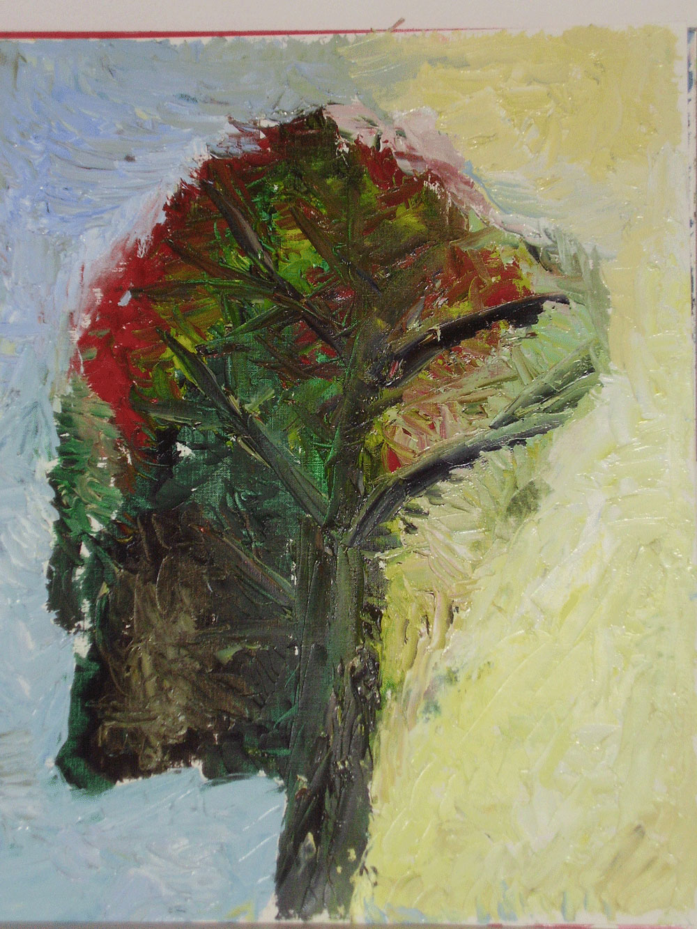 albero 