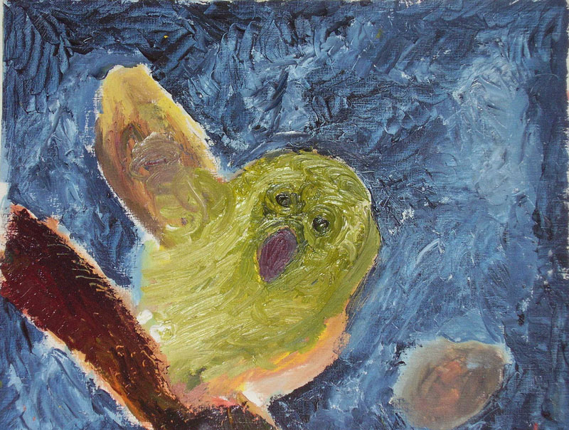 LA CIVETTA